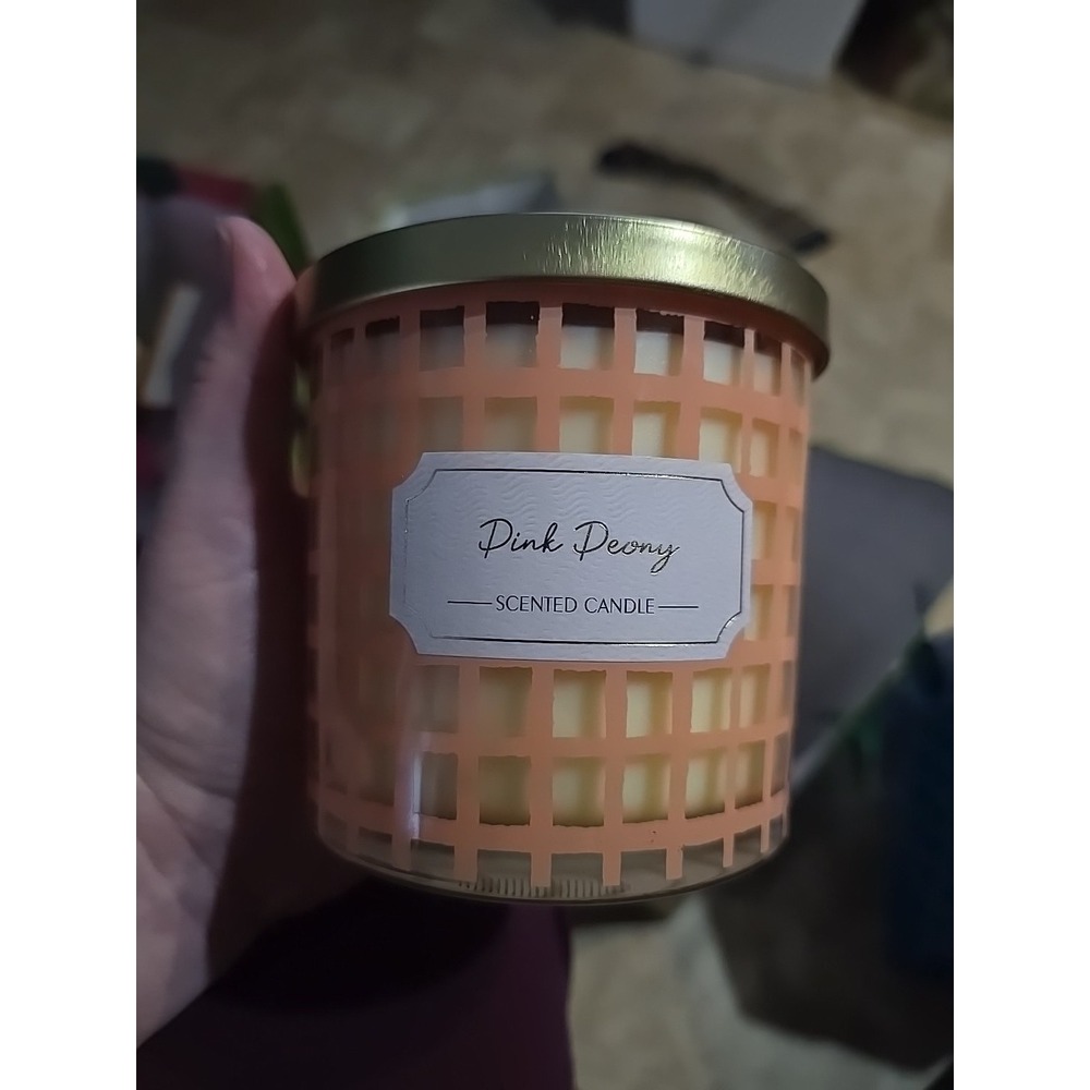 Pink Peony Scented Jar Candle 2 Wick Big Lots Brand New 14 Oz Indoor Candle